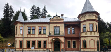 Renovare energetica – Biblioteca G.T. Kirileanu- (3)